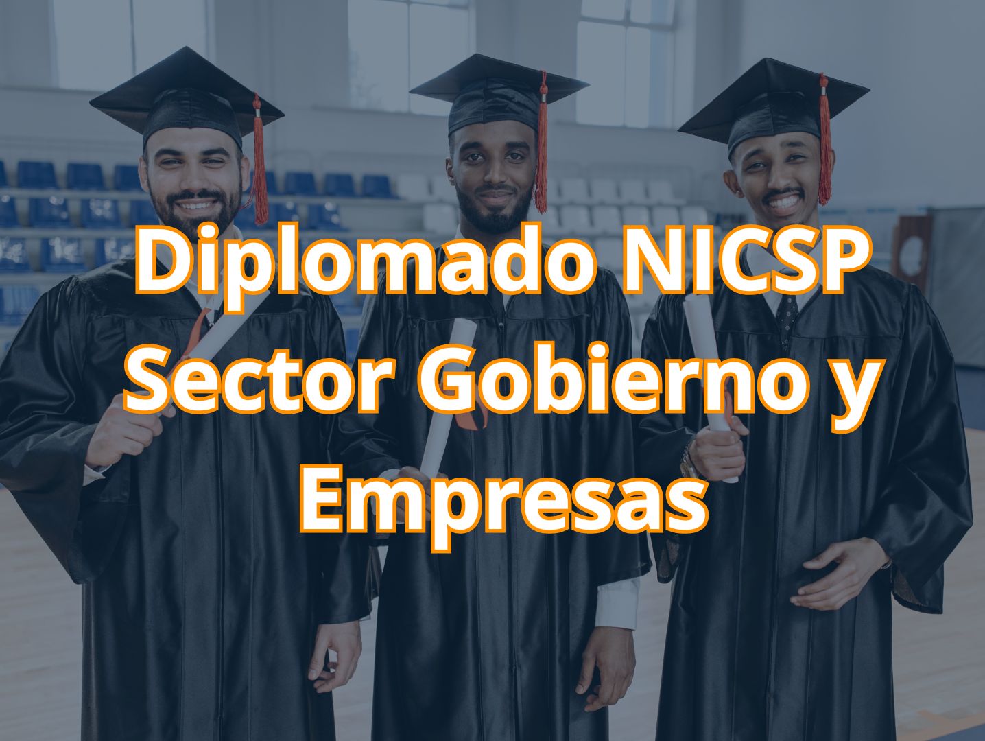diplomado NICSP